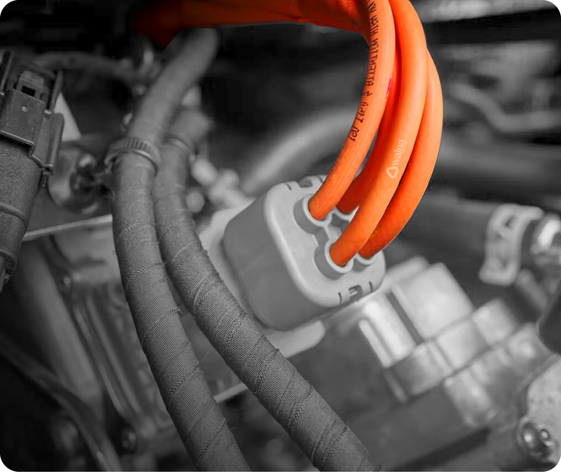 Automotive & EV